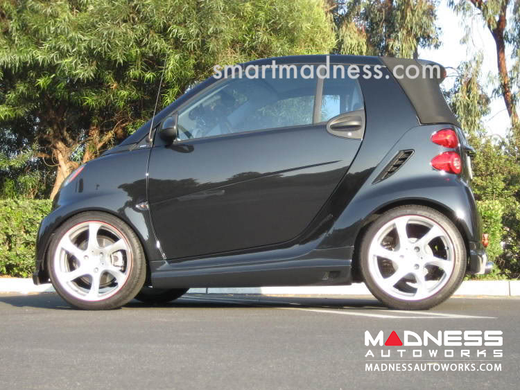 450 Model smart car - Customization